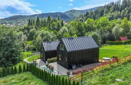 Domki Salamandra Lipowa - Foto 9