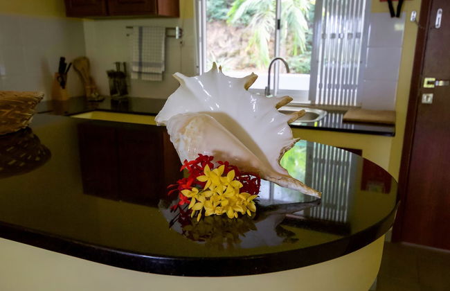 Surfers Self-Catering Chalets - Photo 7