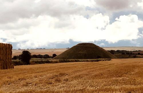 Adorable one bed cottage in rural idyll - Foto 38