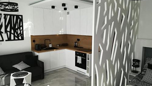 Apartament Wrocław Centrum Dorzecze Legnickiej - Foto 5
