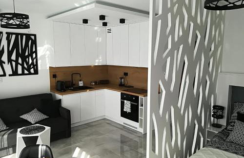 Apartament Wrocław Centrum Dorzecze Legnickiej - Photo 5