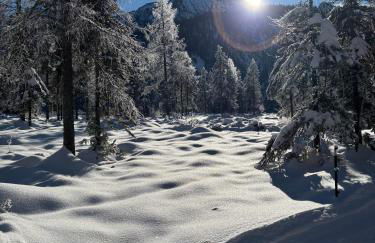 Berglinien am Chiemsee I Exklusive Ferienwohnung mit bis zu 3 Schlafzimmern 2 Bädern und Alpenblick - Photo 34