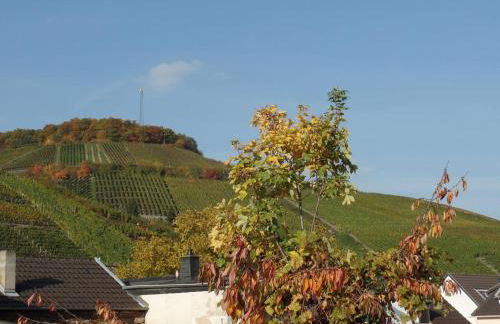 Ferienhaus Schlupfwinkel - Foto 12