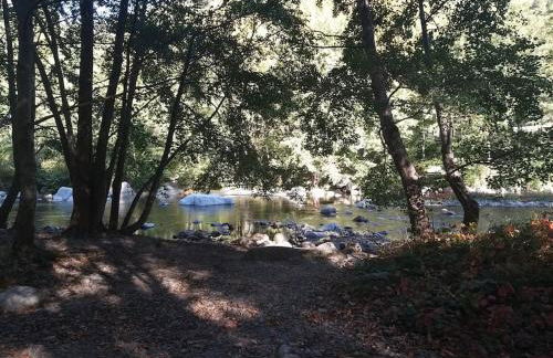 Rez de jardin cosy avec terrasse fleurie - Foto 8