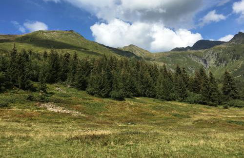 Escale Ugine - Foto 42