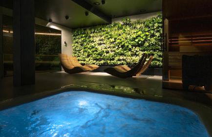 Green Deer Premium - Foto 14