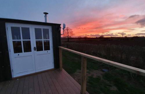 Bertha's Box - Foto 12