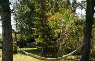 La Maison Verte - Foto 14