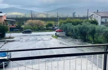 GuestHouse Pet's Friendly - Foto 30