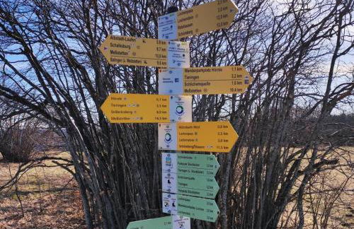 Apfelkiste - Foto 30