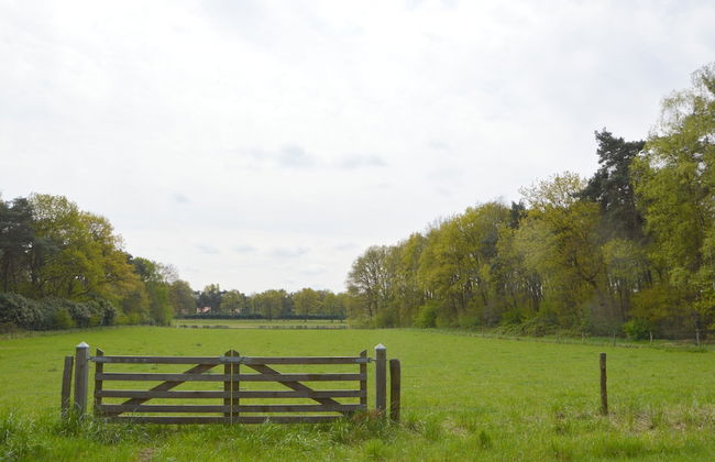 Unique Holiday Home in Stramproy near Forest - Foto 27