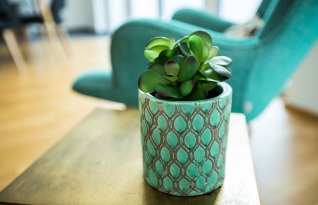 Ferienwohnung Pfänder - Foto 19