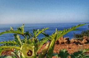 Villa Neli I - Foto 11