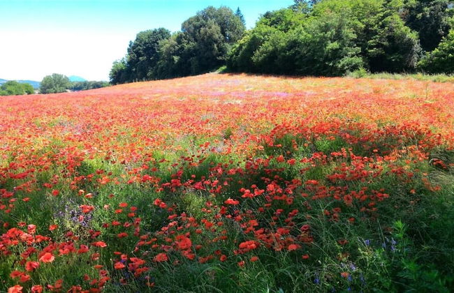 Agriturismo San Filippo - Foto 21