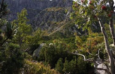 Przystanek Leszczyniec w Sudetach z jacuzzi - za dopłatą - Foto 29