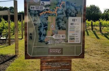 Smitten in da Mitten - 18 acres, Arcades, High Spd Web, Hot Tub, Pond! - Foto 58