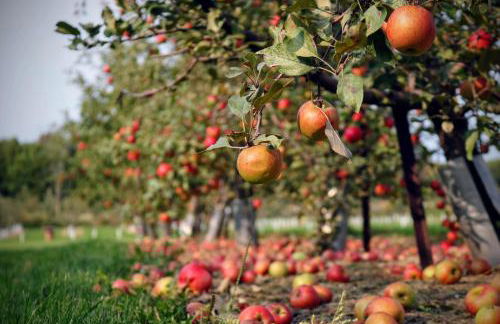 Fairfield Cottage -Top Rated Gem, Fire Pit, Near Beach, 90 Min to NYC - Foto 52