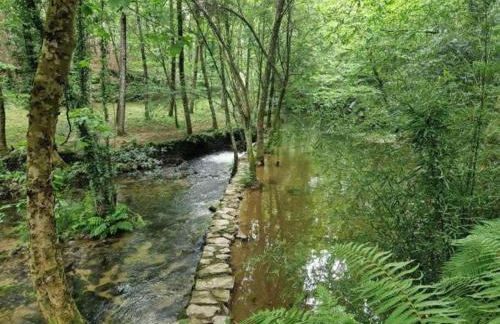Dalpendre - Turismo em espaço rural - Foto 38