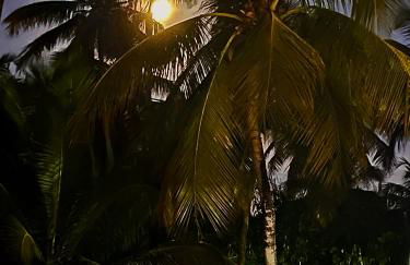 Maracajau Luxury Home - Villa-Mar-a-Villa - Foto 59