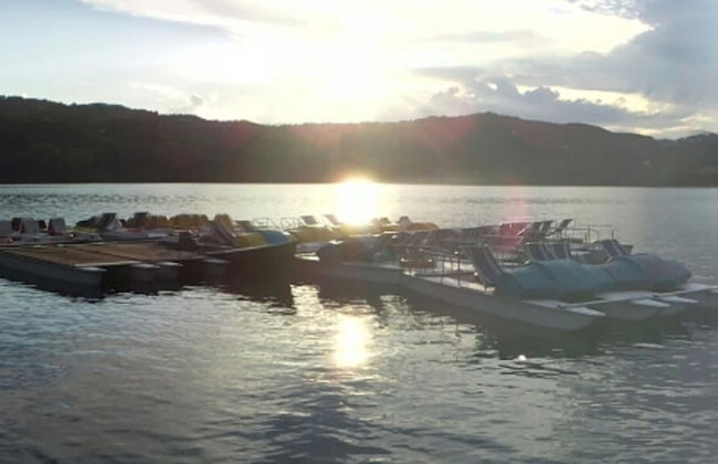 Peaceful Stay With Garden - Photo 30