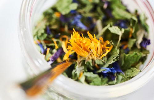 Agriturismo Maso Botes - Foto 45