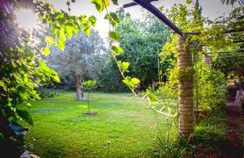 Etna Botanic Garden - Foto 26