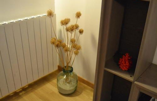 Apartamentos Portal de Ordesa - Photo 48