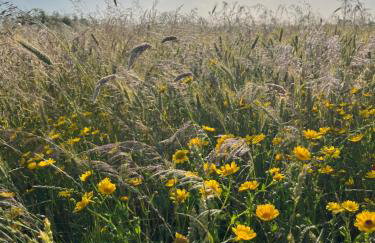 Sielanka Dom nad Morzem - Foto 32
