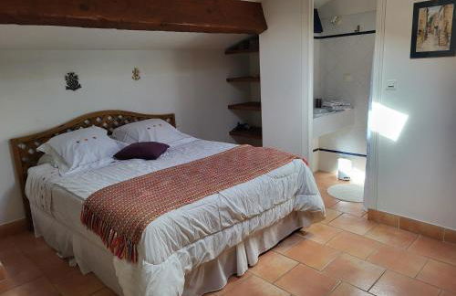 La Chouette de Camargue - Foto 6