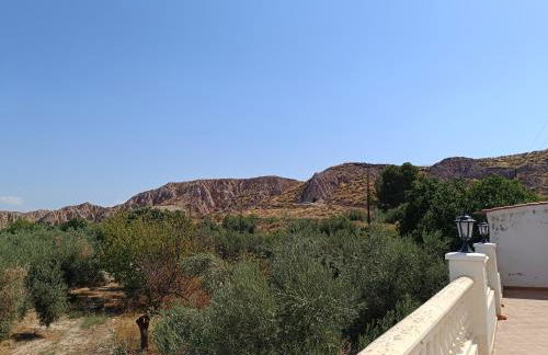 The terraces - Foto 9