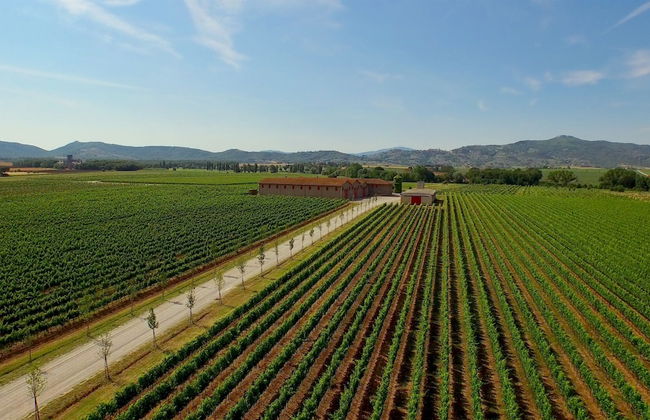 Tenuta Lamborghini Golf & Resort - Foto 56