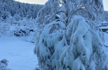 Allgäu Cottage - traumhafter Blick in die Schweizer Berge - Foto 41