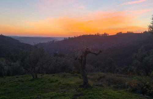 Villa dos Pensamentos - Foto 6