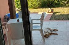 Country House Vignola Mare - Photo 7