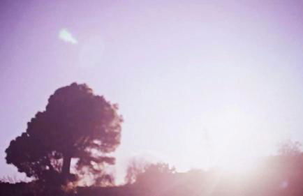 Casa rural La Jarita - Foto 27