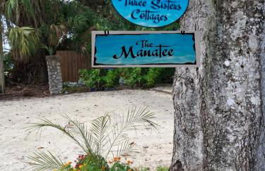 The Three Sisters - Pelican Crystal River FL - Foto 1