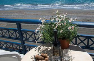 Paradise Studios - Foto 9