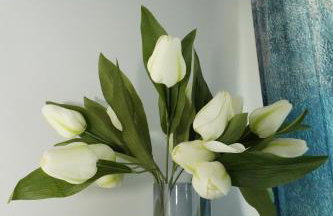 Galactic Sea - Foto 17