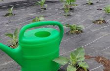 Agroturystyka Zielony Domek - Apartament na wyłączność, slow life, staw, oswojone zwierzęta gospodarskie, posiłki z własnych eko produktów - Foto 15