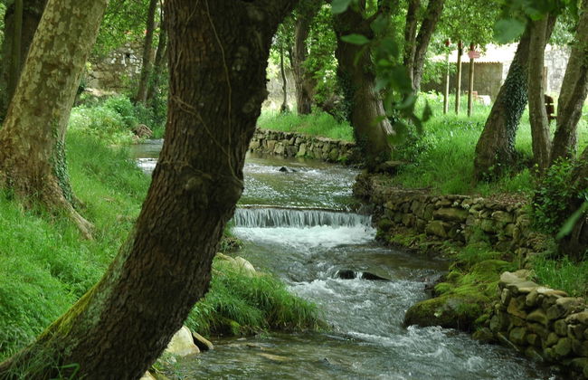 Os Migueliños - Foto 17