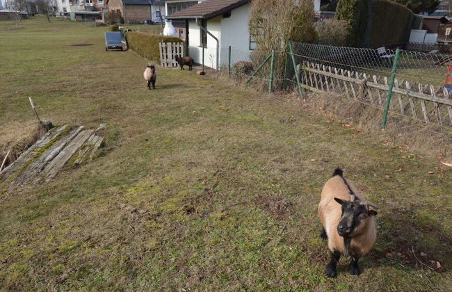 Modern Apartment in Eifel Near Forest - Foto 20