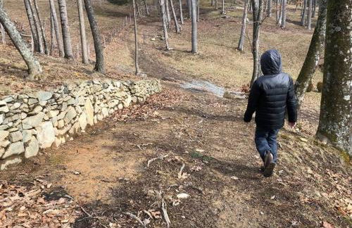 Fairytale: Hot Tub & Trout Stream & Petting Zoo? - Foto 71