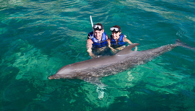 Nado con delfines + Xel-Há - Foto 2