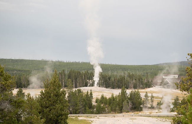 Bar N Ranch - Photo 58