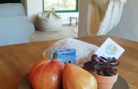 Casa da Mata - Foto 33