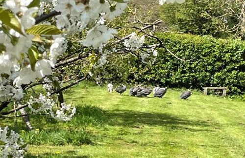 The Coach House Annex - Foto 21