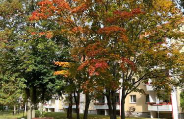 Ferienwohnung Waldstadt - Foto 24