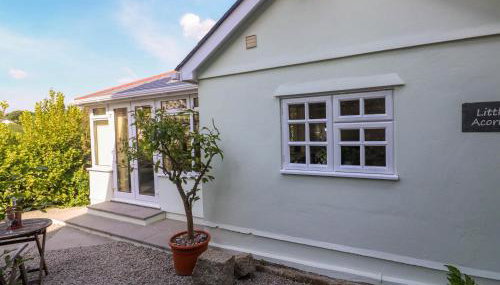 Little Acorns - Foto 3