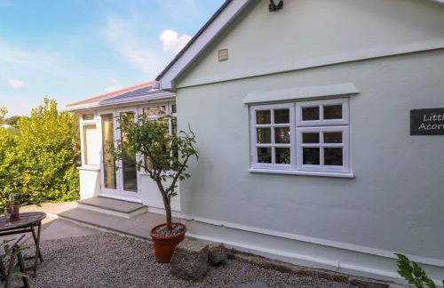 Little Acorns - Photo 3