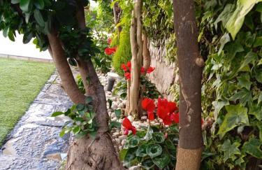 Capri Sky Loft - Photo 78